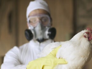 image-69c3dd6602e8bd792a661797