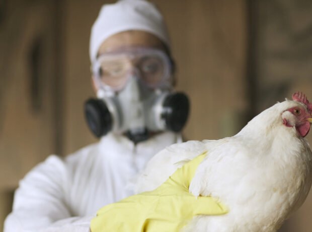 image-69c3dd6602e8bd792a661797