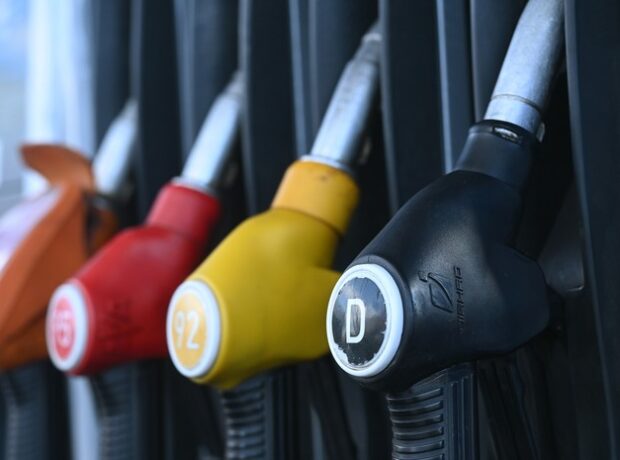 image-69cafacf02e8bd388546c7b4