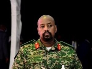 image-789cfb693efa1d4564760e3d3ad95534