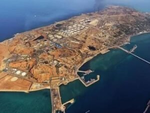 image-image_1774454055405