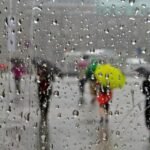 image-image_750x_648728f5bacdf