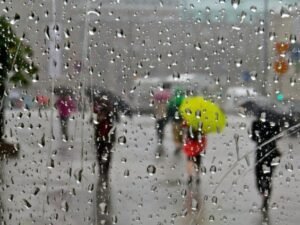 image-image_750x_648728f5bacdf