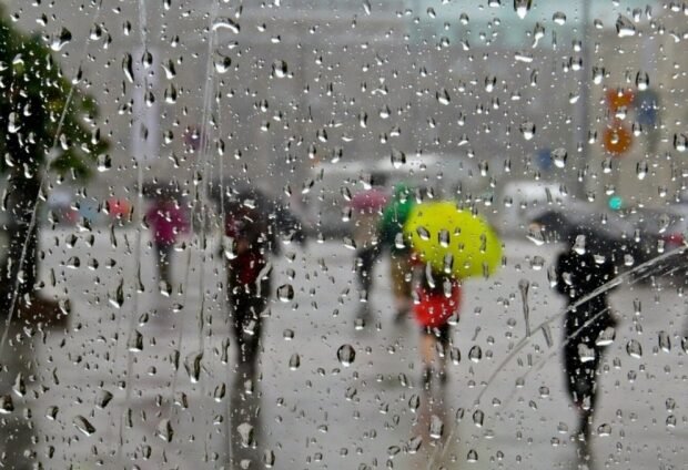 image-image_750x_648728f5bacdf