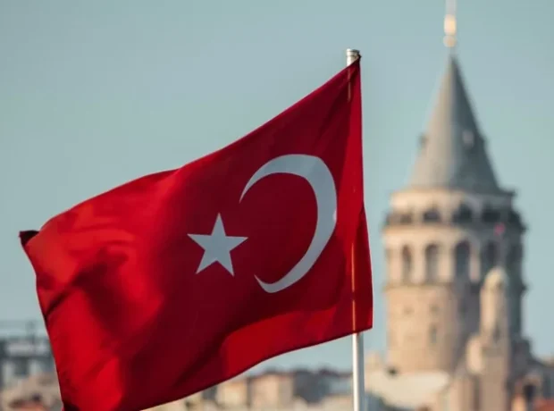 image-image_940x_69a471d4867c4