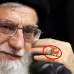 image-image_940x_69a97f6d72d08