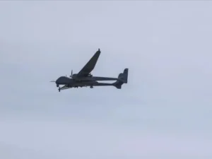 image-image_940x_69aab4e6e55ae