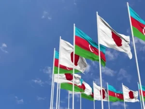 image-image_940x_69aacf4bb5d46