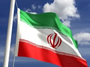 image-image_940x_69ae779a5bf5b