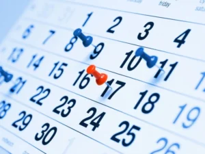 image-image_940x_69b3bc97694cc-1