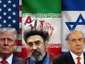 image-image_940x_69b3c5195ae5a