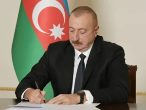 image-image_940x_69bbf6722a01d