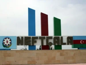 image-image_940x_69bcf685da3f6