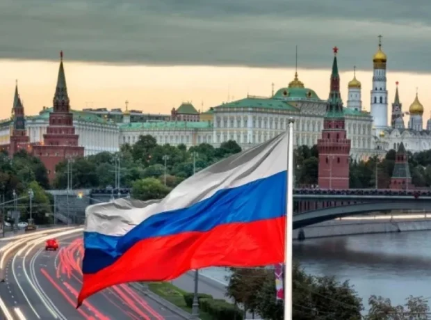 image-image_940x_69bf7fe6be56c