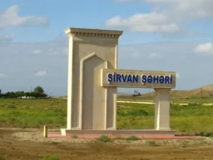 image-image_940x_69bf92af6af36