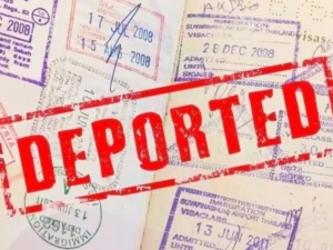 image-image_940x_69c284d22ec07