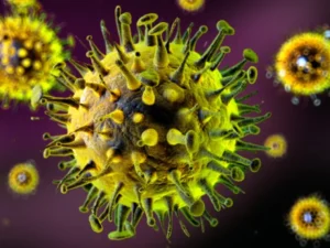 image-image_940x_69c3769ca3ecb