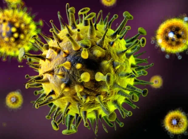 image-image_940x_69c3769ca3ecb