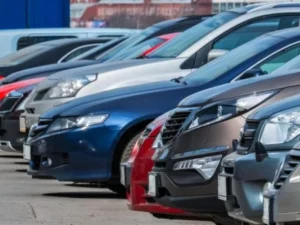 image-image_940x_69c39c93cf1eb