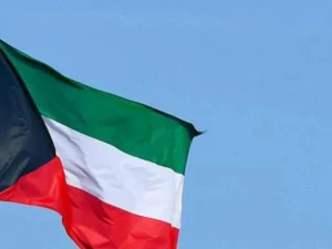 image-image_940x_69c3d23fd1e07