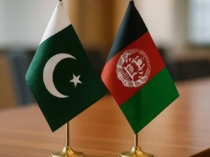 image-image_940x_69c5511f3dd3f