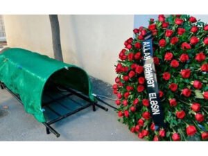 image-img_0007_1772806884_660x441