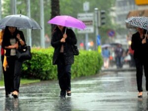 image-img_2999_1774691429