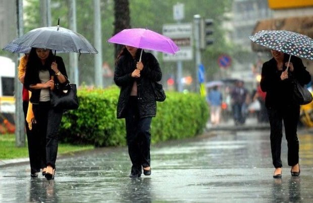 image-img_2999_1774691429