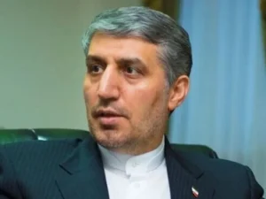 image-img_5263-1200x630