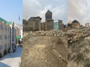 image-img_9590-1024x512