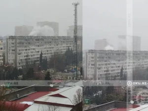 image-ktpgakwiwzfqwikk4ibc18wn9dee9sl0dostryfj_1200