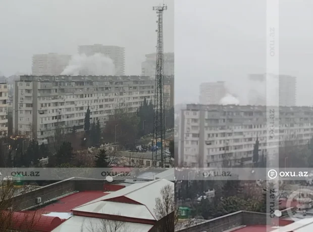 image-ktpgakwiwzfqwikk4ibc18wn9dee9sl0dostryfj_1200