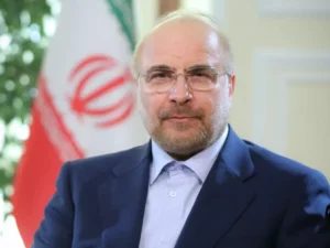 image-ovofr7fqzstri2ykqpfohfozw2gxtun8m9mocstc_1200