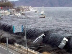 image-sunami-768x403