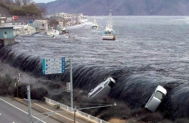 image-sunami-768x403