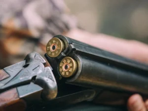 image-v6hgxe8qmvu6mlnzk57g7cd0l3lcev0jwyuimrsb_1200