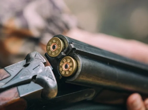 image-v6hgxe8qmvu6mlnzk57g7cd0l3lcev0jwyuimrsb_1200