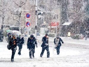 image-whatsapp-image-2026-03-28-at-02-58-54-900x600