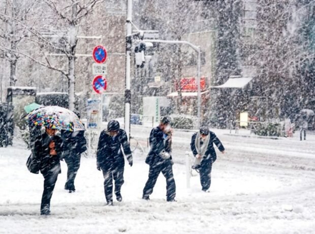 image-whatsapp-image-2026-03-28-at-02-58-54-900x600