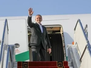 image-01knw78b74t103kd08z6v6y53w-large