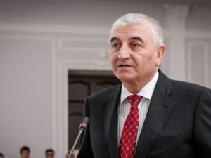 image-01kq7e945sg17cc7h9y4m26dne-large