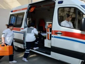 image-01kqdkeg0fxvtkwr3y8bg2n5s7-large