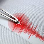 image-1735061444_zelzel_1768061792