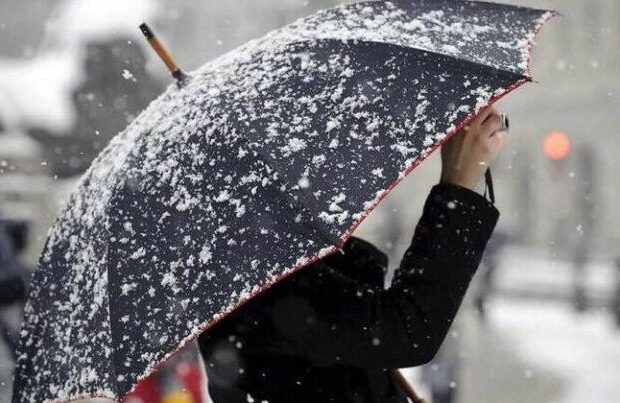 image-1775323065_qar_yagacaq_qq_1729612912_full_1766738077-768x403