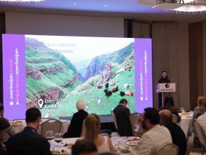 image-17764328934123428939_1200x630