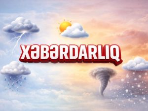 image-17772947035905123590_1200x630