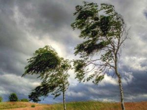 image-1777310191_20220207172526_36674500