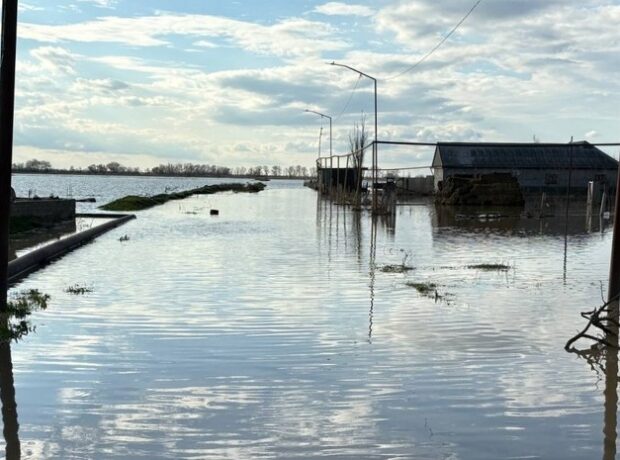 image-69d21b01ae5ac97e682c962a