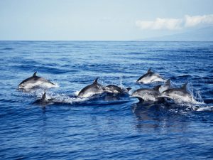 image-69da687e02e8bd20804f41f0