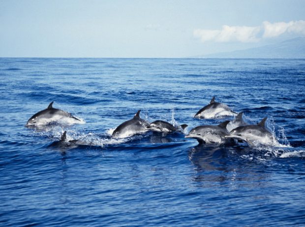 image-69da687e02e8bd20804f41f0